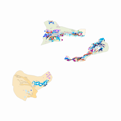 Export Image